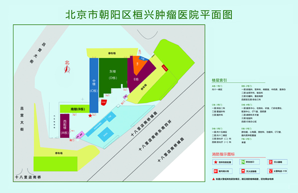 激情逼逼色色网北京市朝阳区桓兴肿瘤医院平面图